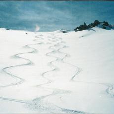 TRACCE IN FUORIPISTA