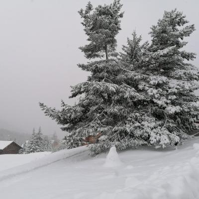 SCUOLA DI SCI A MONGINEVRO CON VALANGA AZZURRA E CENTRO SCI TORINO NEVE ASSICURATA